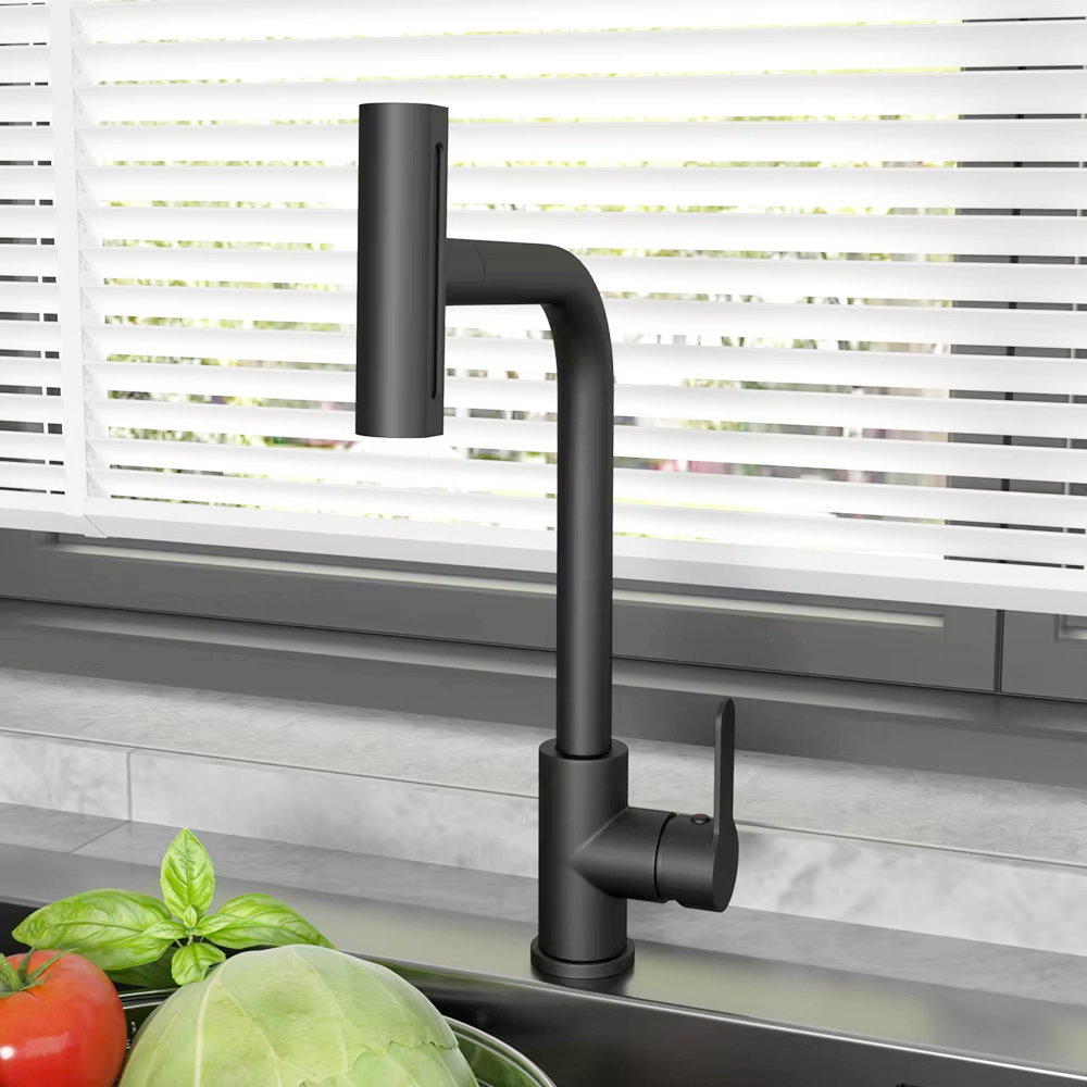 Black Pull Out Kitchen Sink Fa - Commercial Kitchen Mixer Tap recension och pris