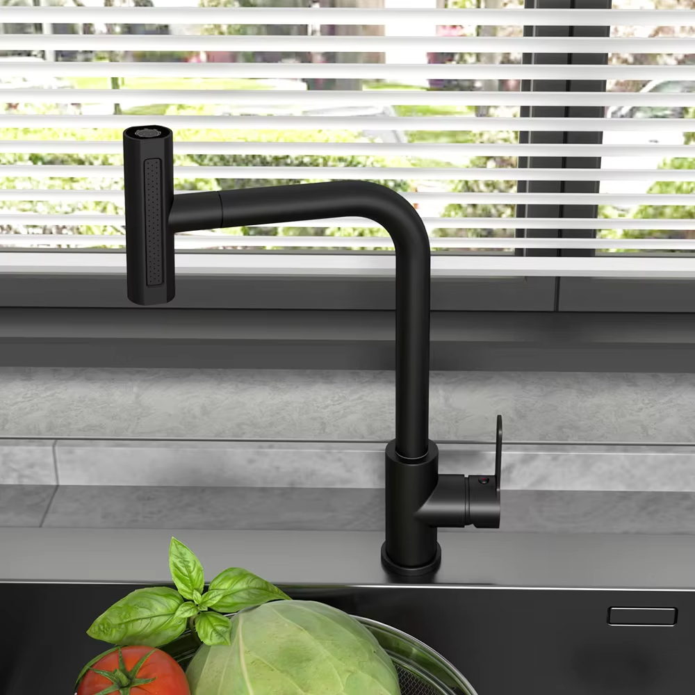 Black Pull Out Kitchen Sink Fa - Commercial Kitchen Mixer Tap recension och pris